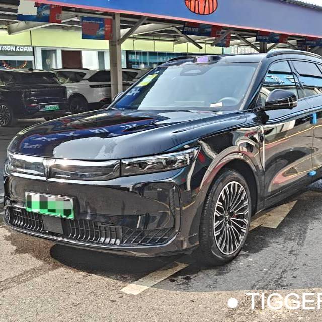 VOYAH 2025 FREE FREE+rear wheel drive dry Kun version Used Car