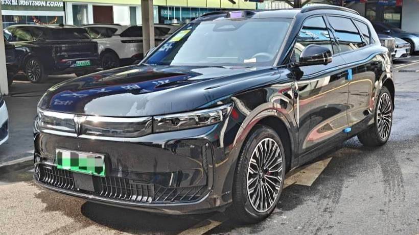 VOYAH 2025 FREE FREE+rear wheel drive dry Kun version