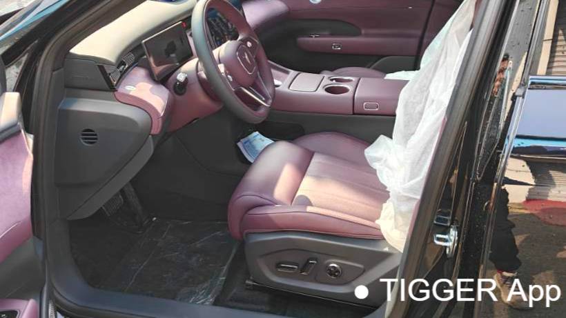 VOYAH 2025 FREE FREE+rear wheel drive dry Kun version