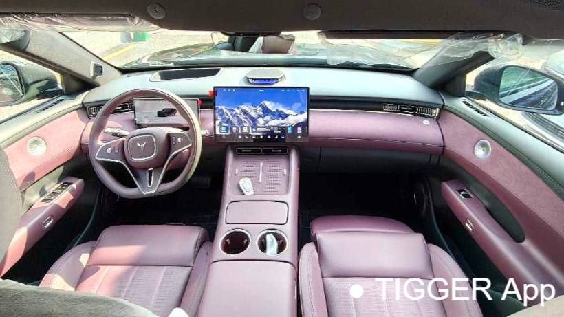 VOYAH 2025 FREE FREE+rear wheel drive dry Kun version