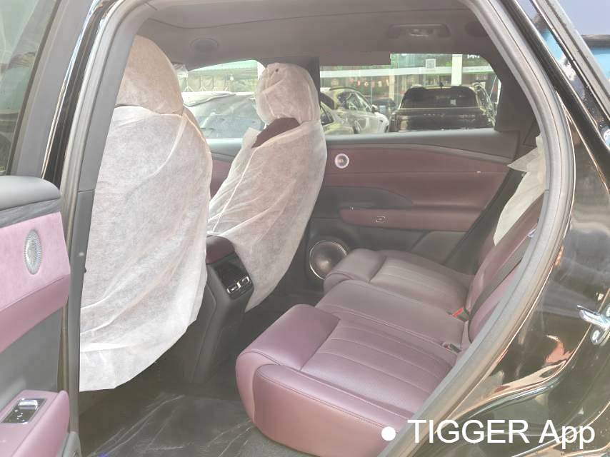 used VOYAH 2025 FREE FREE+rear wheel drive dry Kun version