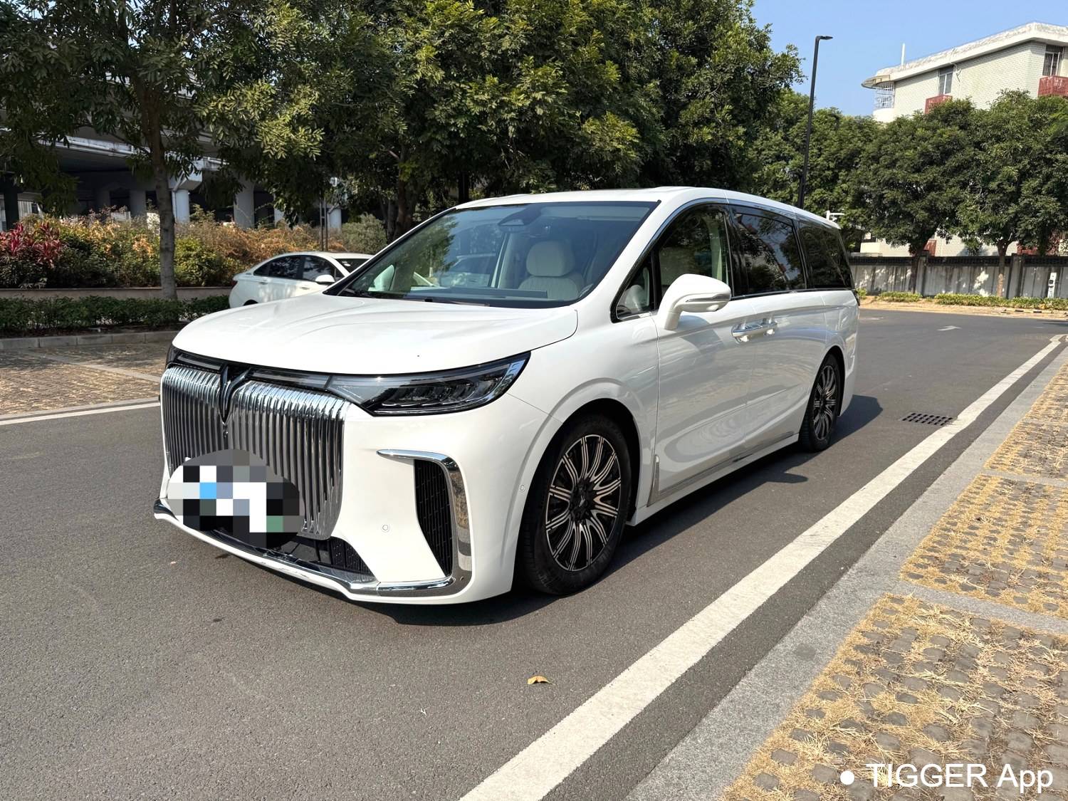 used VOYAH 2025 DREAM PHEV four-wheel drive flagship Kunpeng version