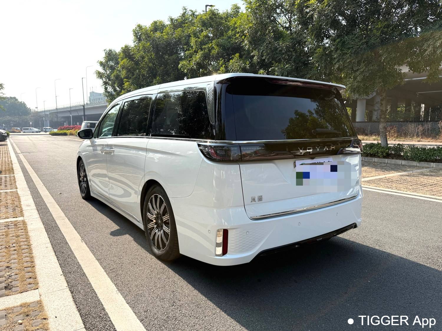 used VOYAH 2025 DREAM PHEV four-wheel drive flagship Kunpeng version