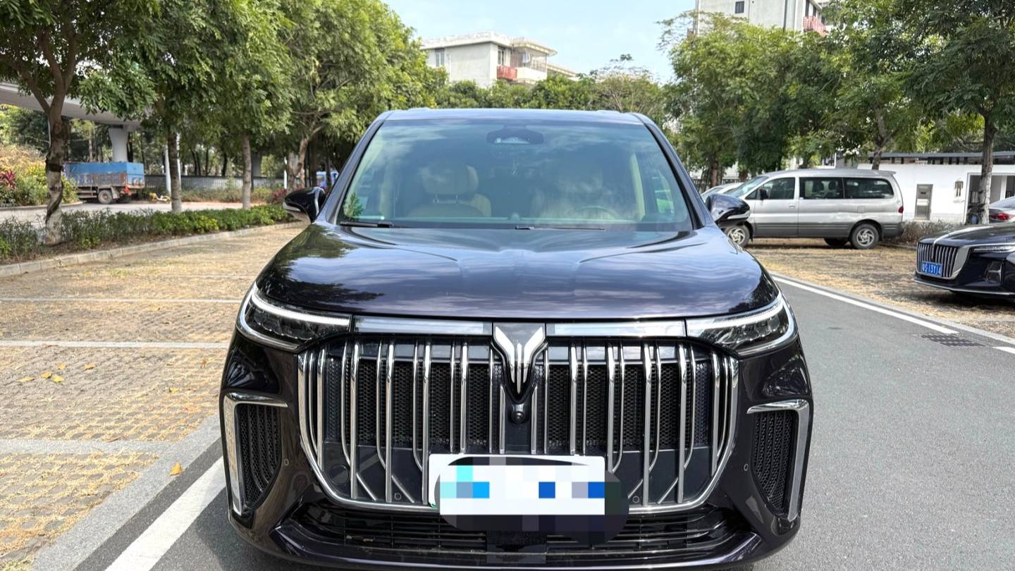 VOYAH 2022 DREAM Low carbon version dream+smart package