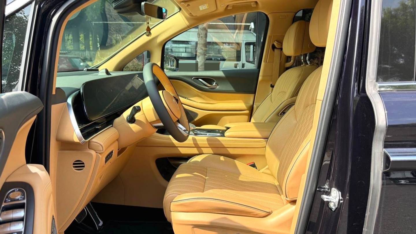 VOYAH 2022 DREAM Low carbon version dream+smart package