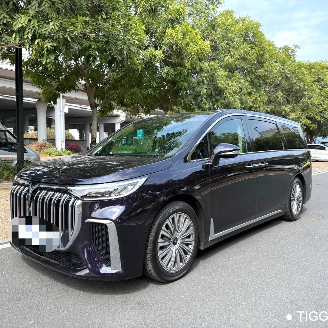 VOYAH 2022 DREAM Low carbon version dream+smart package Подержанный автомобиль