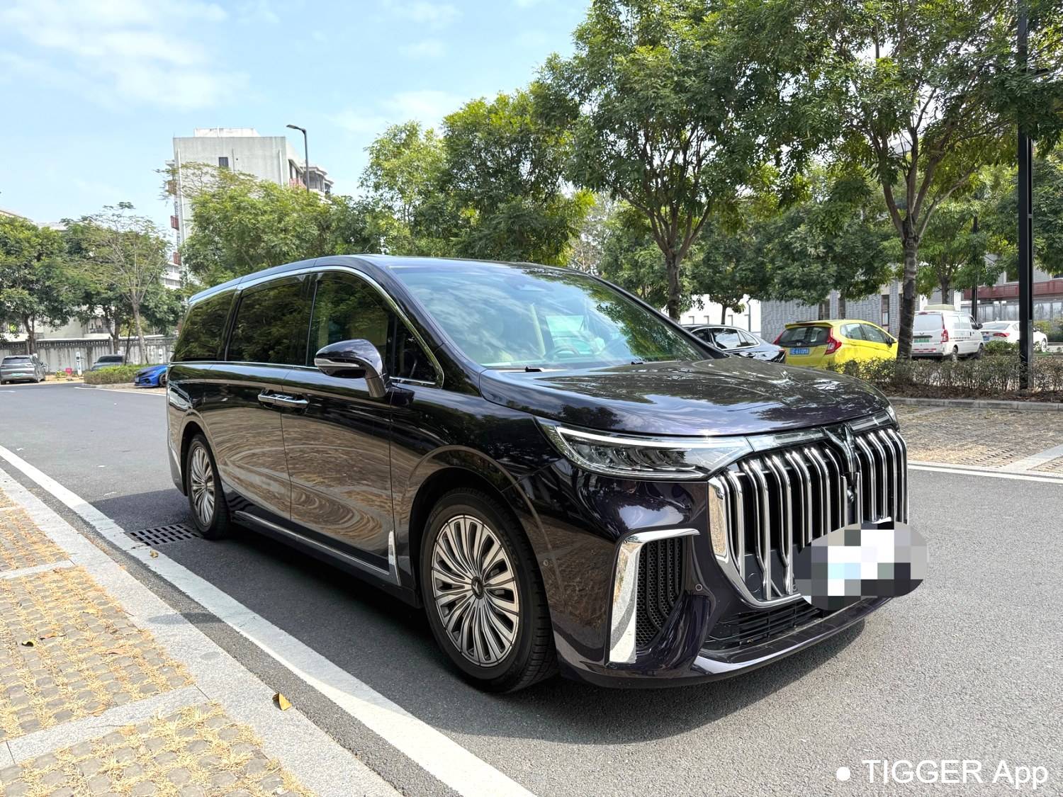 used VOYAH 2022 DREAM Low carbon version dream+smart package