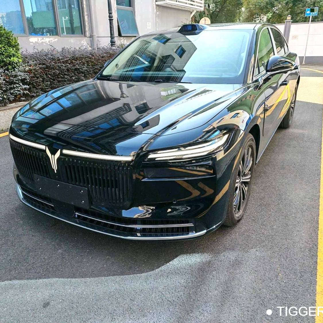 VOYAH 2026 PASSION L Four wheel drive Max سيارة مستعملة