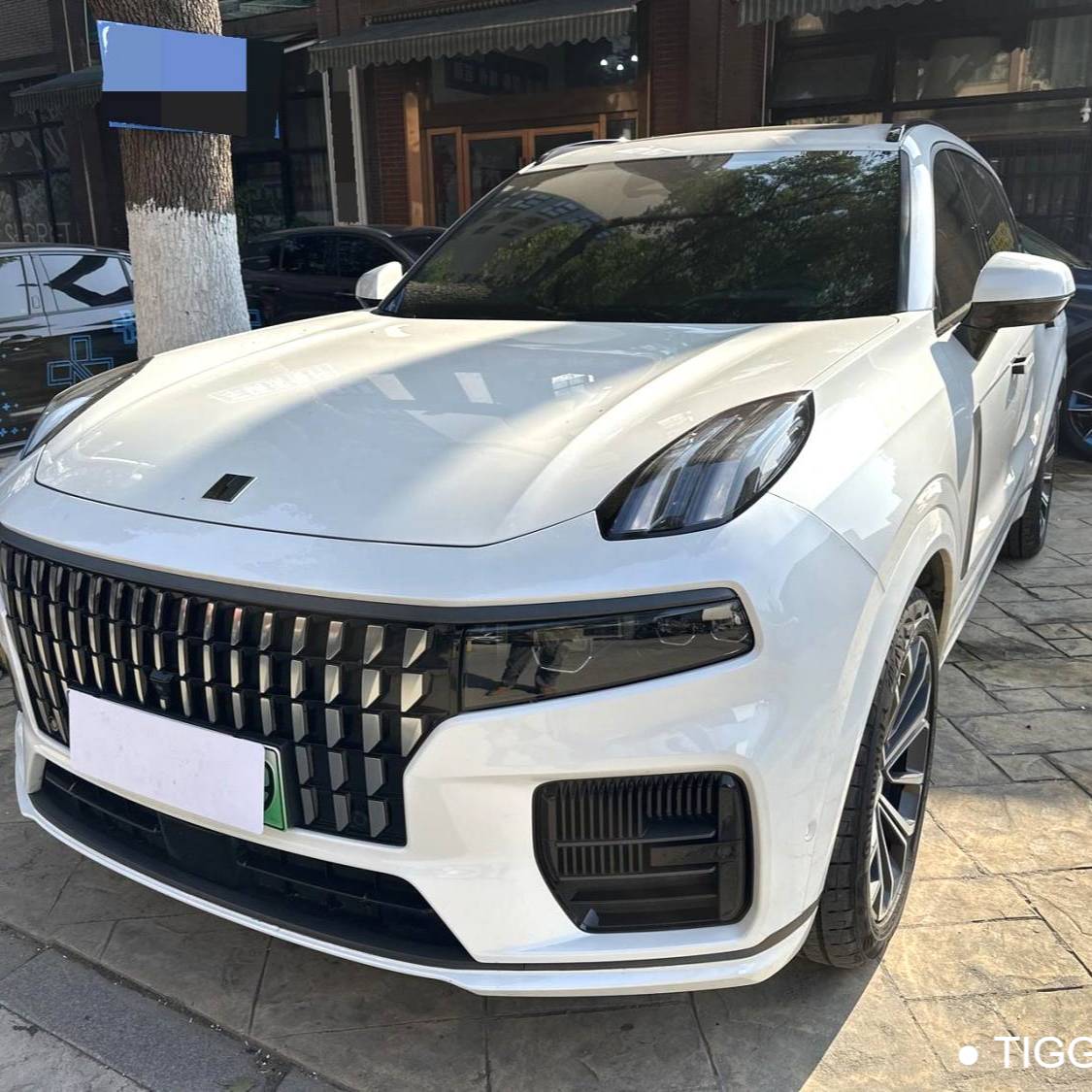 LYNK&CO 2023 09 EM-P 2.0TD EM-P Long Range Edition PM Seven seater Used Car