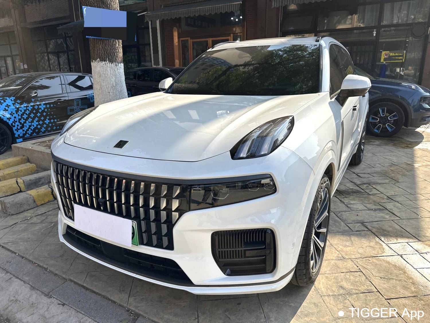 LYNK&CO 2023 09 EM-P 2.0TD EM-P Long Range Edition PM Seven seater