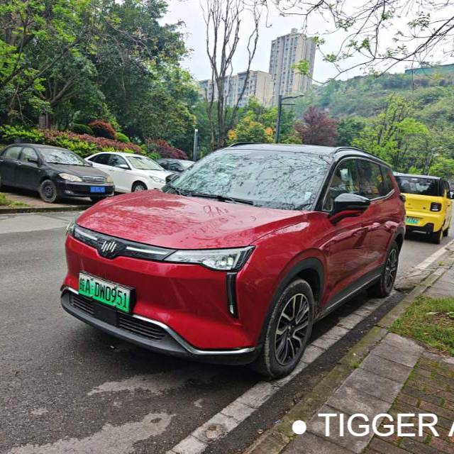 WELTMEISTER 2021 W6 520km PRO All Around Edition