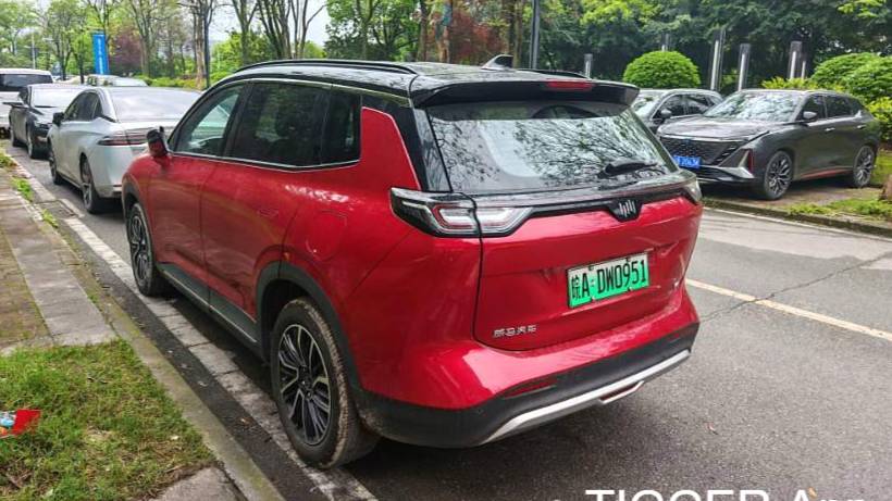 WELTMEISTER 2021 W6 520km PRO All Around Edition