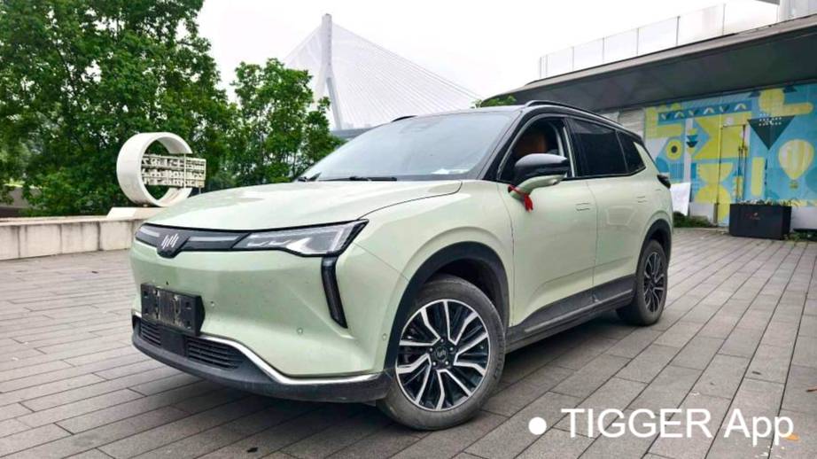 WELTMEISTER 2021 W6 520km PRO All Around Edition