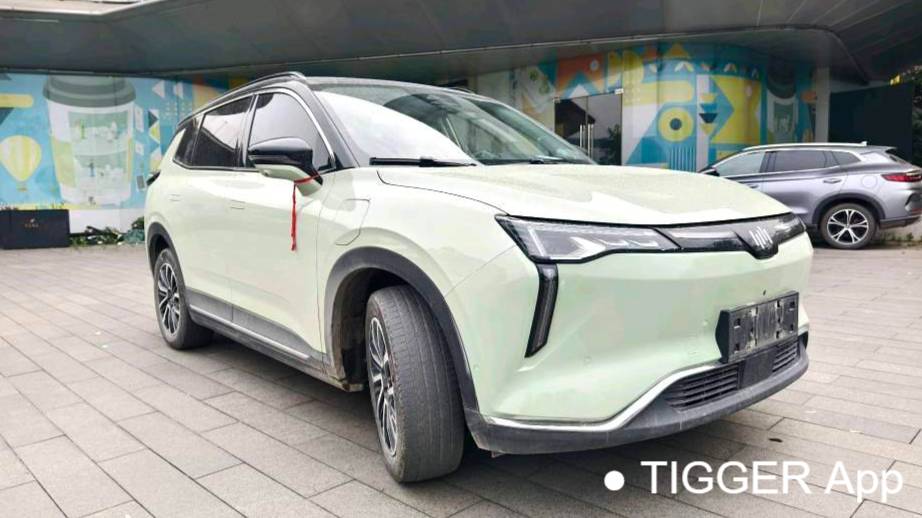 WELTMEISTER 2021 W6 520km PRO All Around Edition