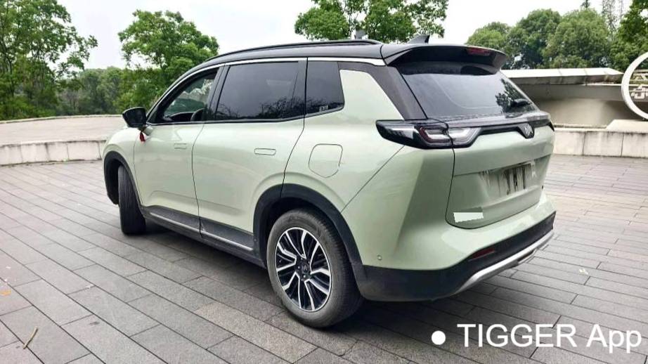 WELTMEISTER 2021 W6 520km PRO All Around Edition