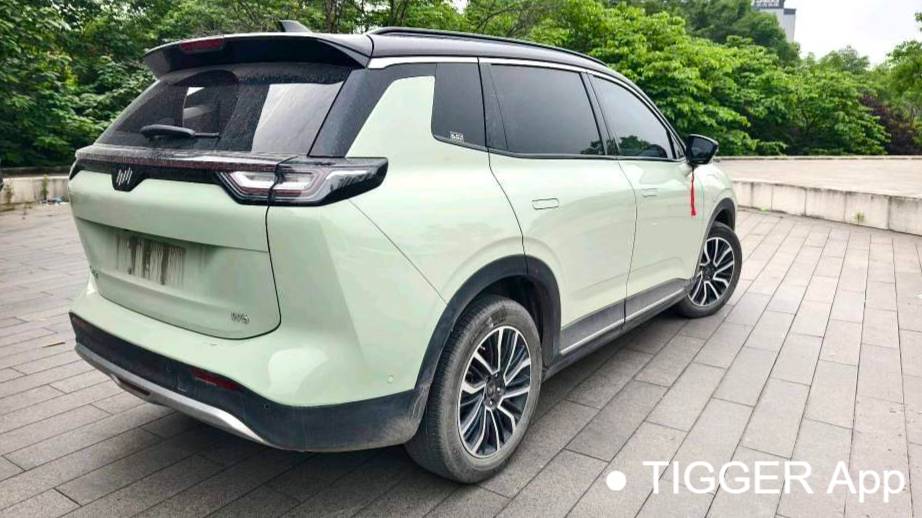 WELTMEISTER 2021 W6 520km PRO All Around Edition