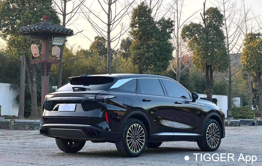 EXEED 2023 EXEED Yaoguang 400T 2WD Optimal Enjoyment Flying Fish Edition