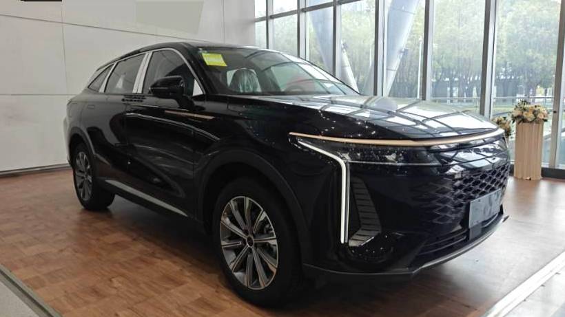 EXEED 2025 EXEED Yaoguang 400T Deer Hunter Edition