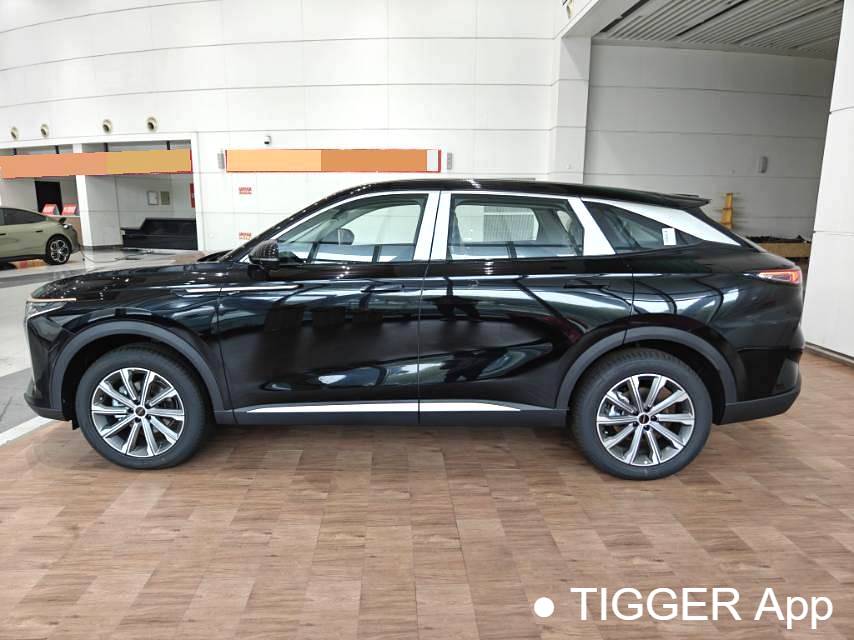 EXEED 2025 EXEED Yaoguang 400T Deer Hunter Edition