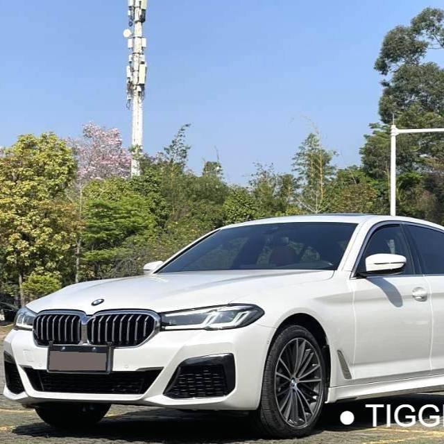 BMW 2023 5 Series 530Li Leading Model M Sport Set سيارة مستعملة