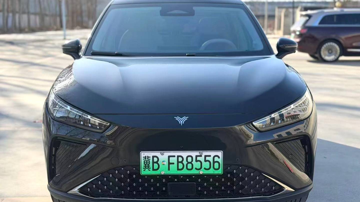 NETA 2024 L Extended Range 310 Flash Charge PRO Edition