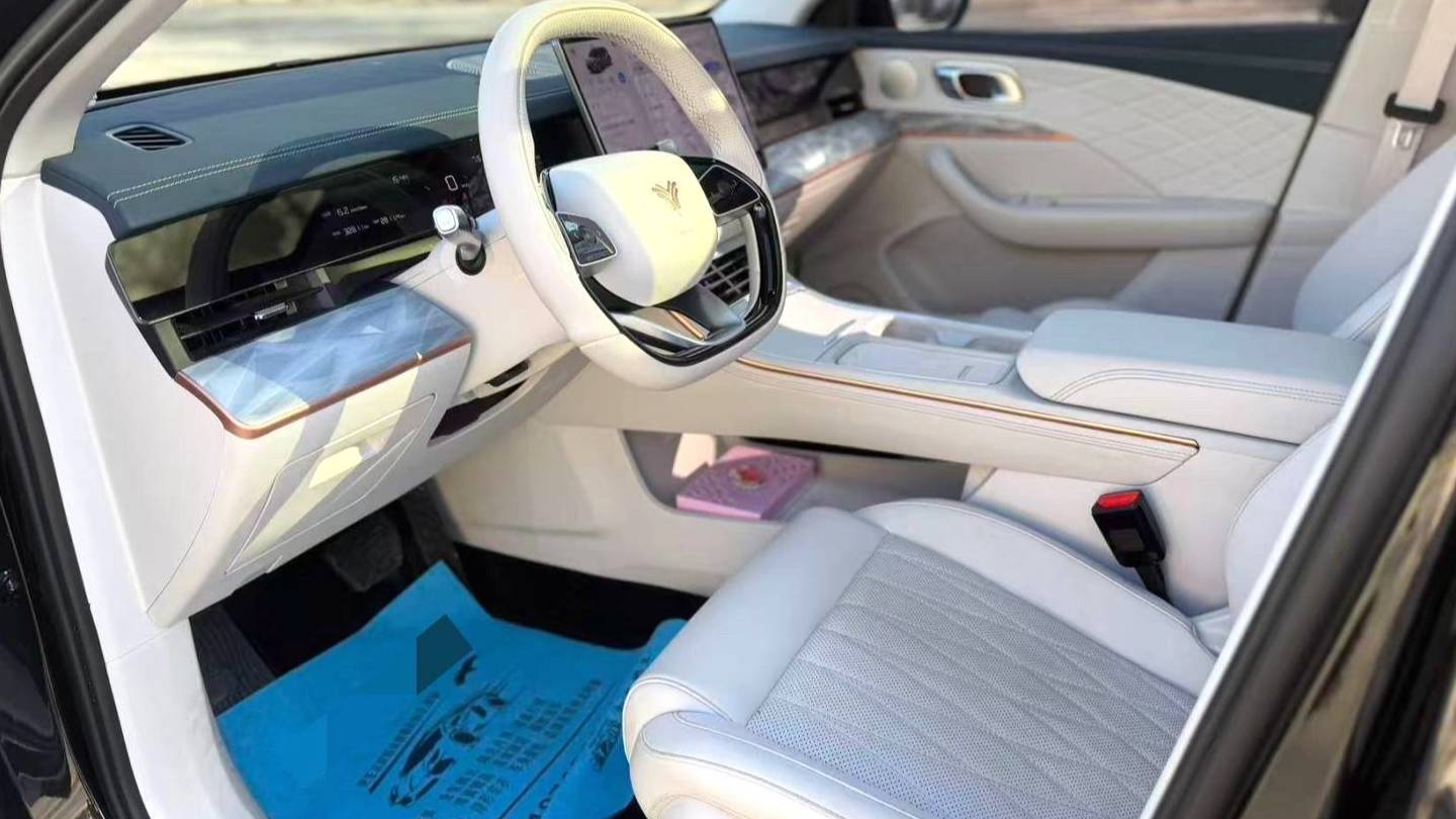 NETA 2024 L Extended Range 310 Flash Charge PRO Edition