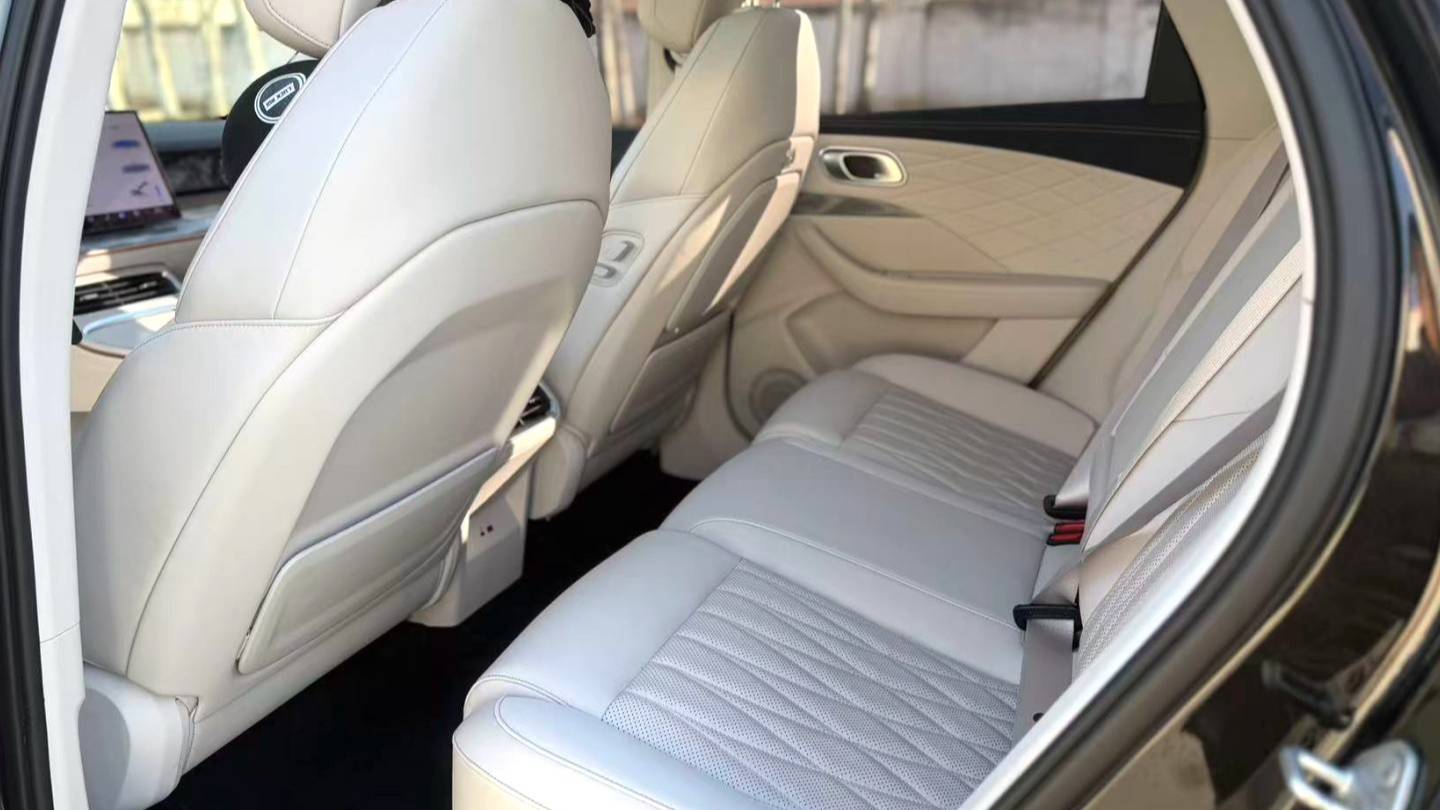 NETA 2024 L Extended Range 310 Flash Charge PRO Edition