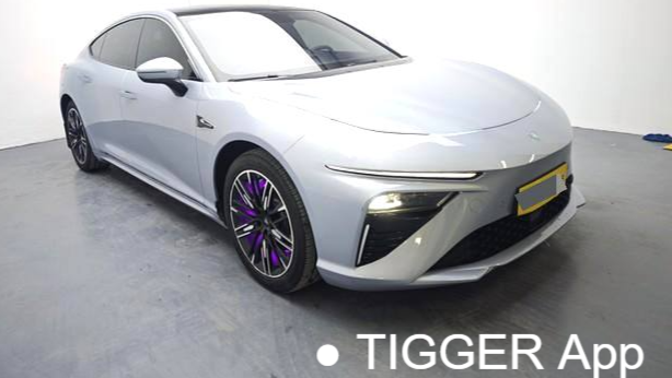 NETA 2024 S Extended Range 1060 Premium Edition