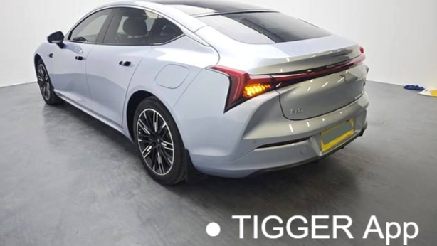 NETA 2024 S Extended Range 1060 Premium Edition