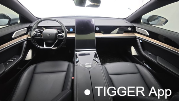 NETA 2024 S Extended Range 1060 Premium Edition