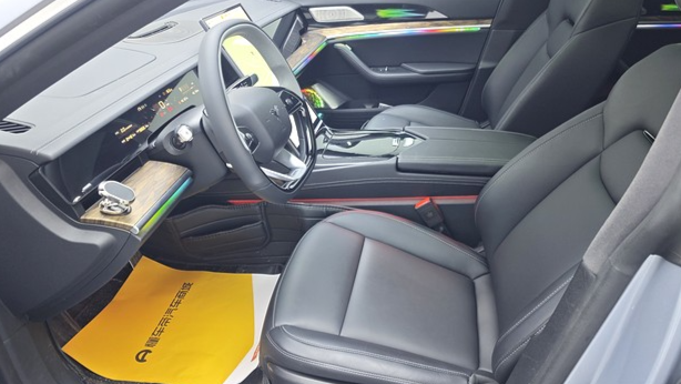 NETA 2024 S Extended Range 1060 Premium Edition