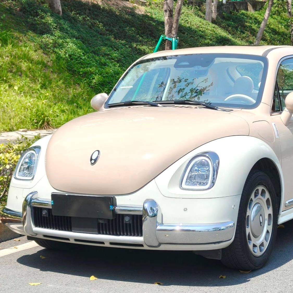 ORA 2023 Ballet Cat 401km Luxury Type Used Car