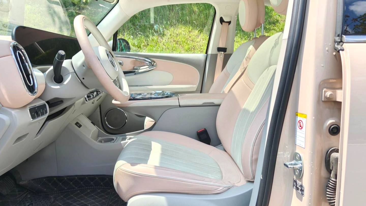 ORA 2023 Ballet Cat 401km Luxury Type
