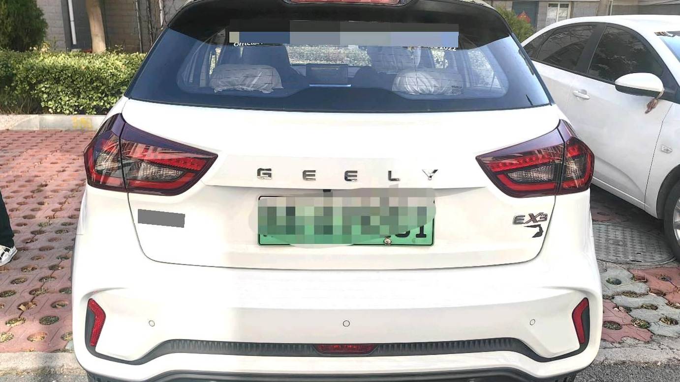 GEOME 2021 EX3 Kung Fu Niu Niu