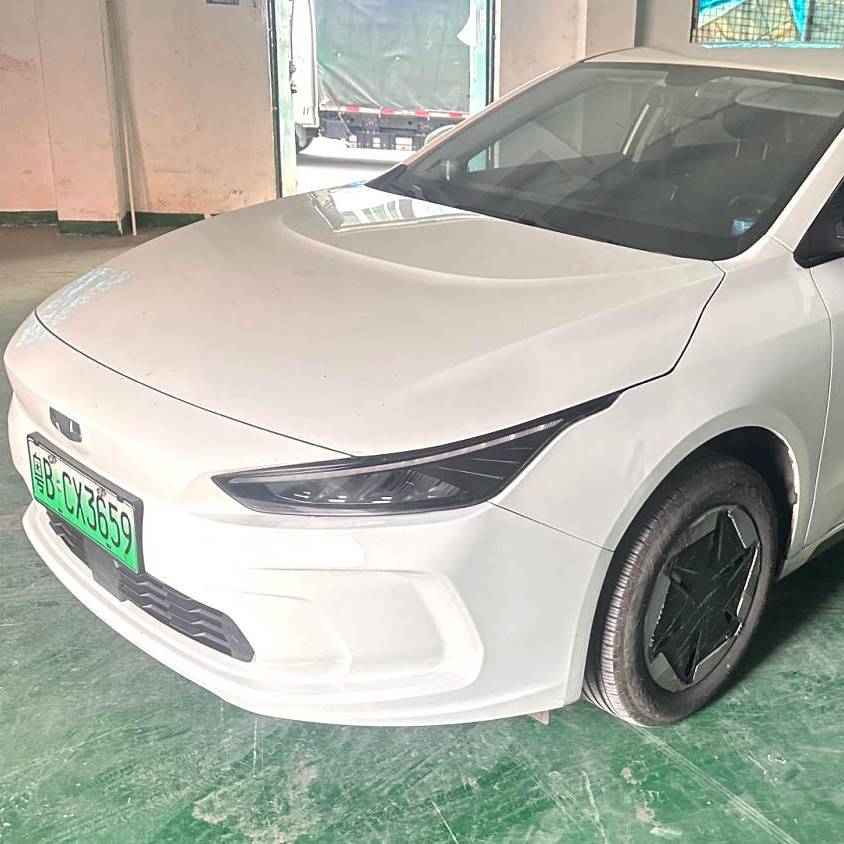 GEOME 2024 A 410KM Travel Edition Подержанный автомобиль