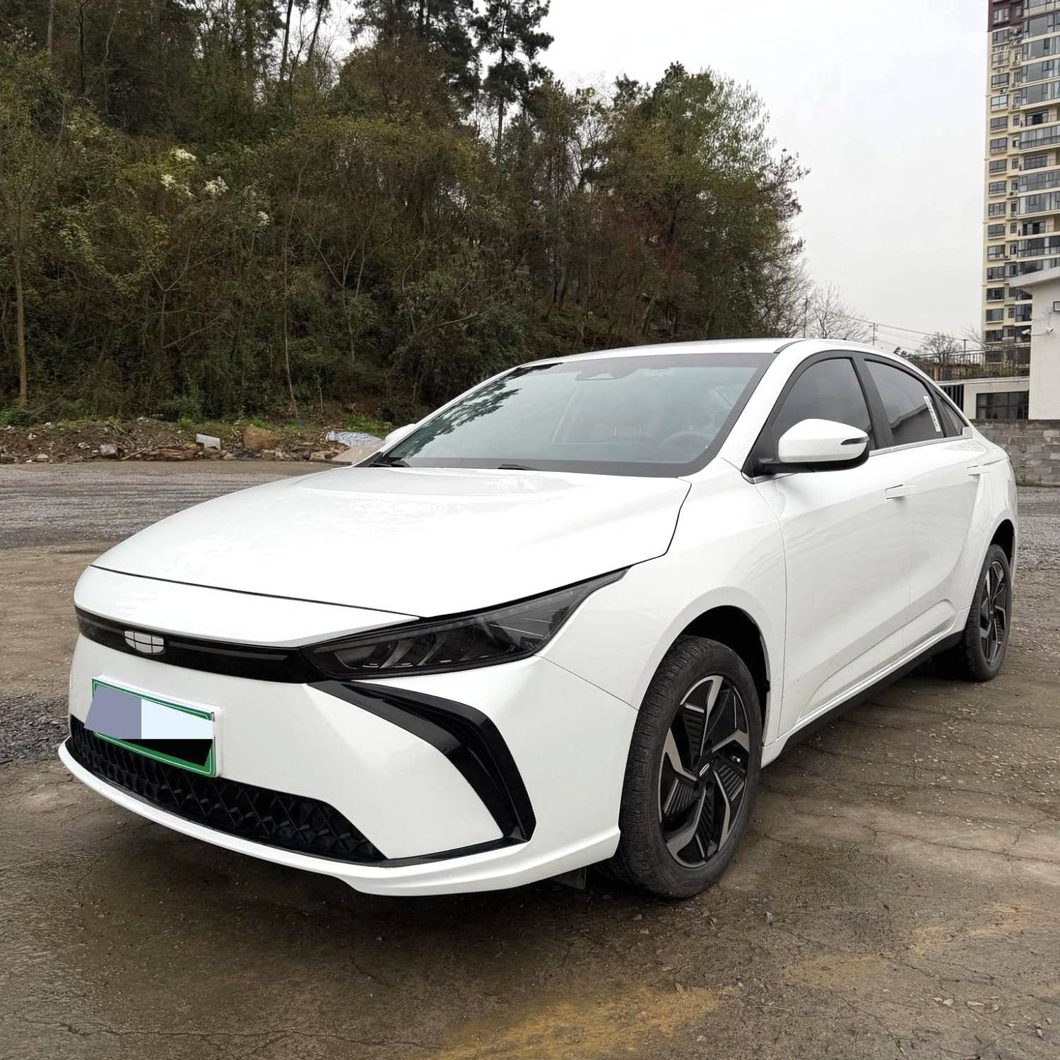 GEOME 2024 G6 500KM Official Edition Подержанный автомобиль