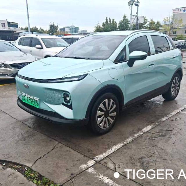 GEOME 2024 E 301km streamer Подержанный автомобиль