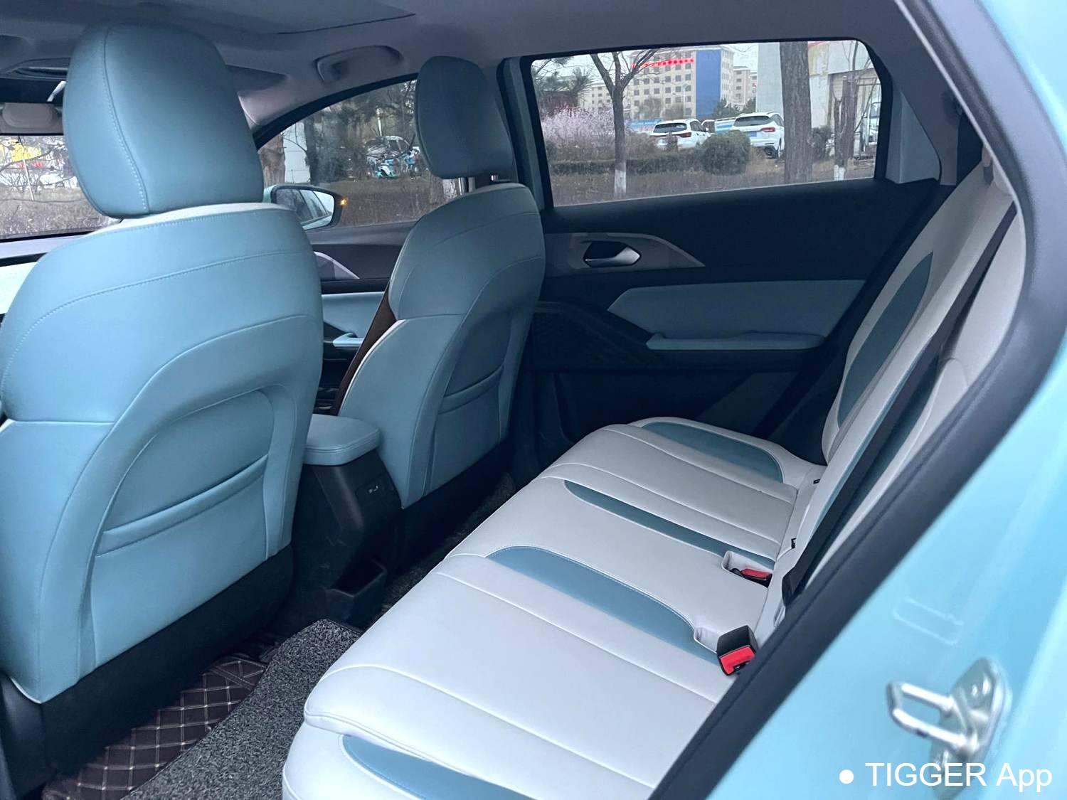 GEOME 2022 E 401KM Linglong Tiger with 5 seats