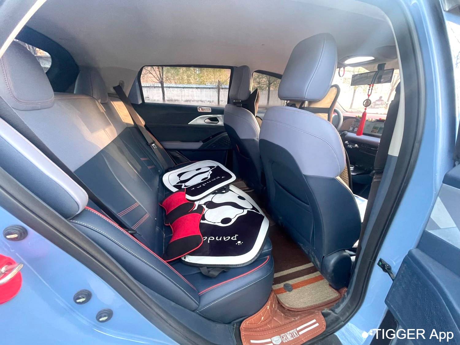 GEOME 2022 E 320KM obedient tiger with 4 seats