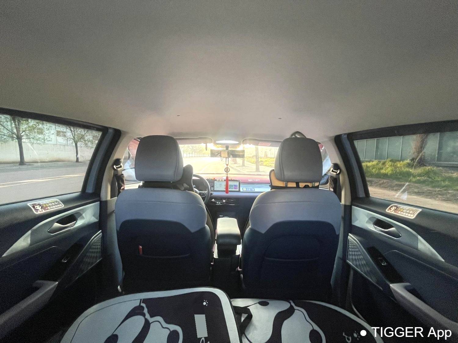 GEOME 2022 E 320KM obedient tiger with 4 seats