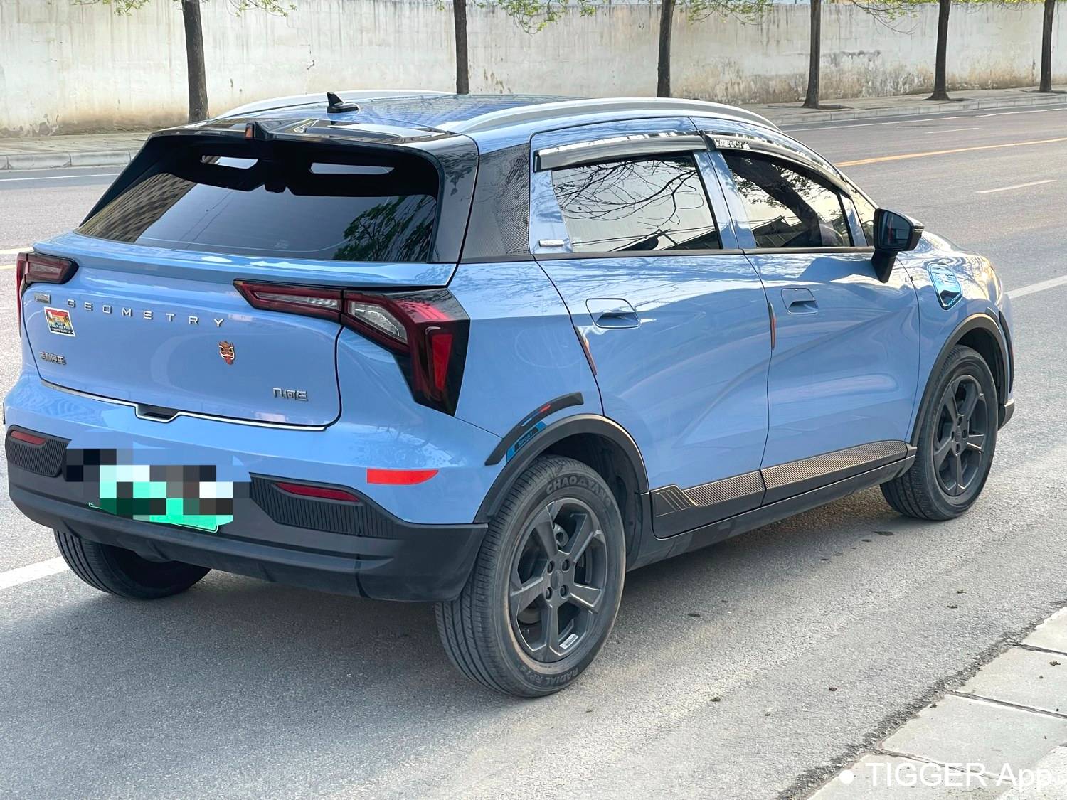 GEOME 2022 E 320KM obedient tiger with 4 seats