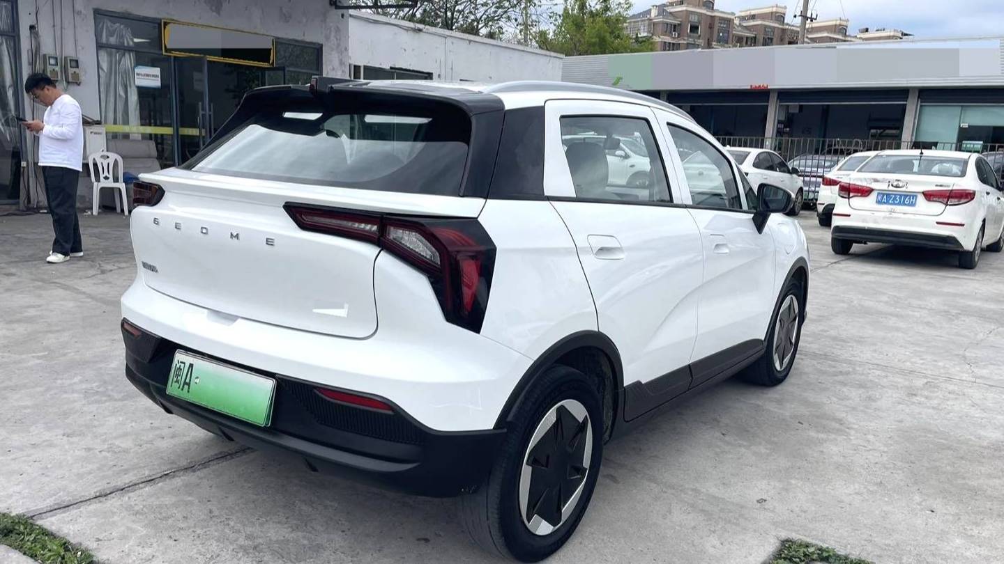 GEOME 2024 E 301km streamer