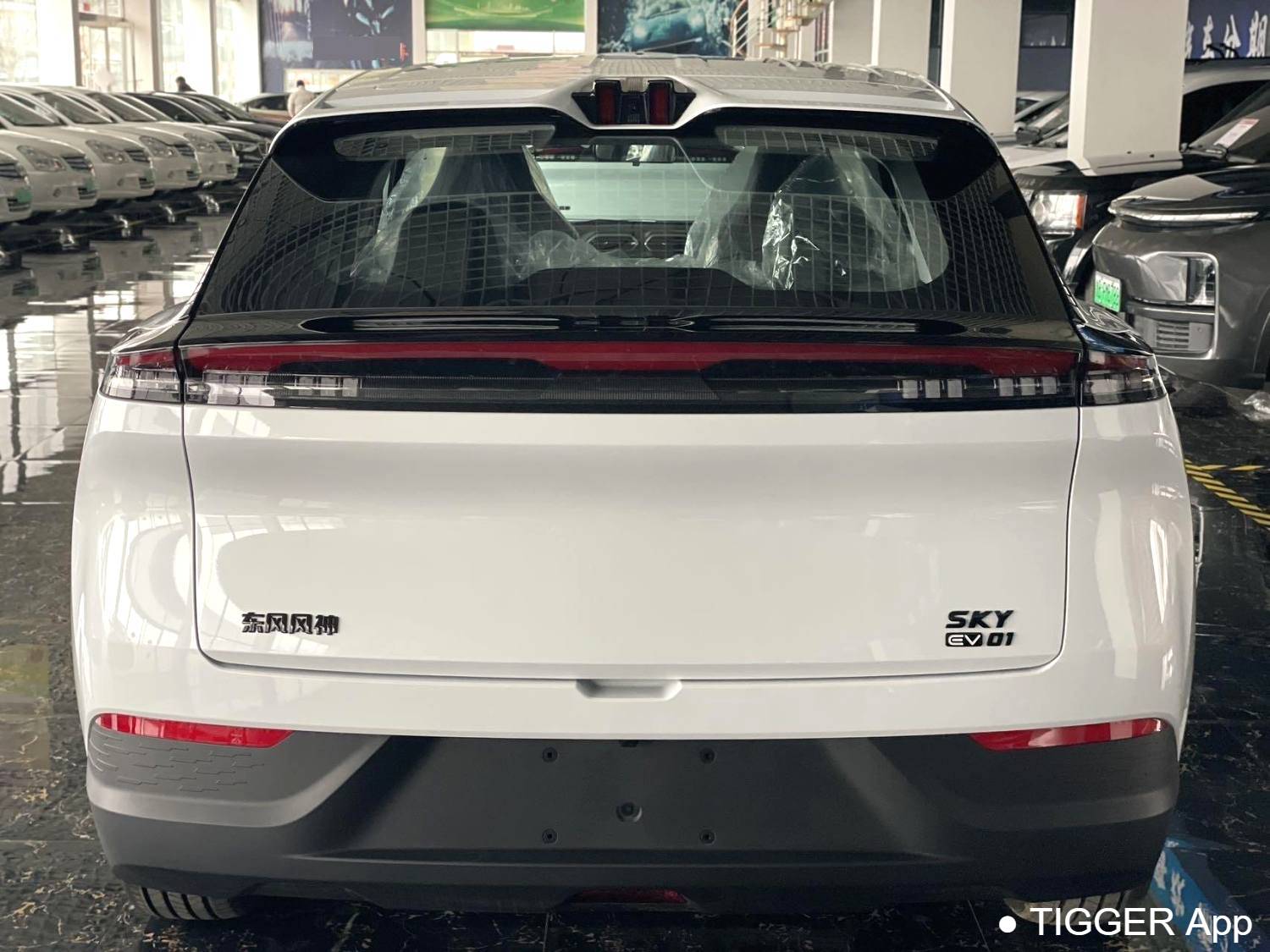 used AEOLUS 2025 SKY EV01 530km AIR Elite Edition