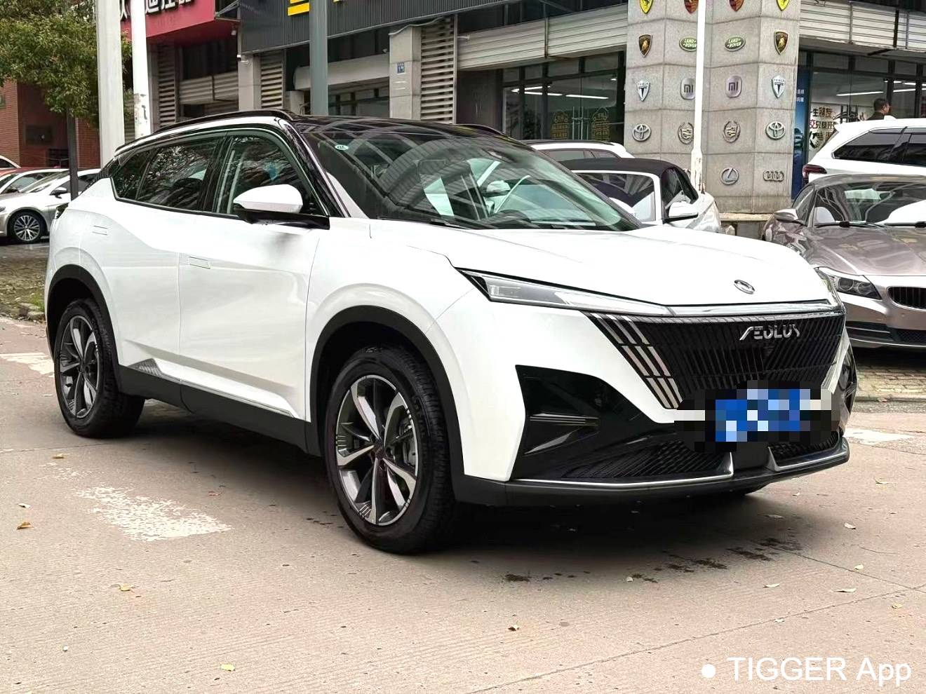 二手AEOLUS 2024 Haohan Honor 1.5T Luxury Edition