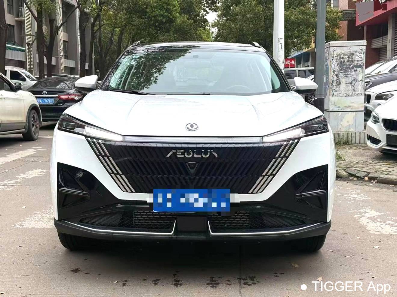 二手AEOLUS 2024 Haohan Honor 1.5T Luxury Edition