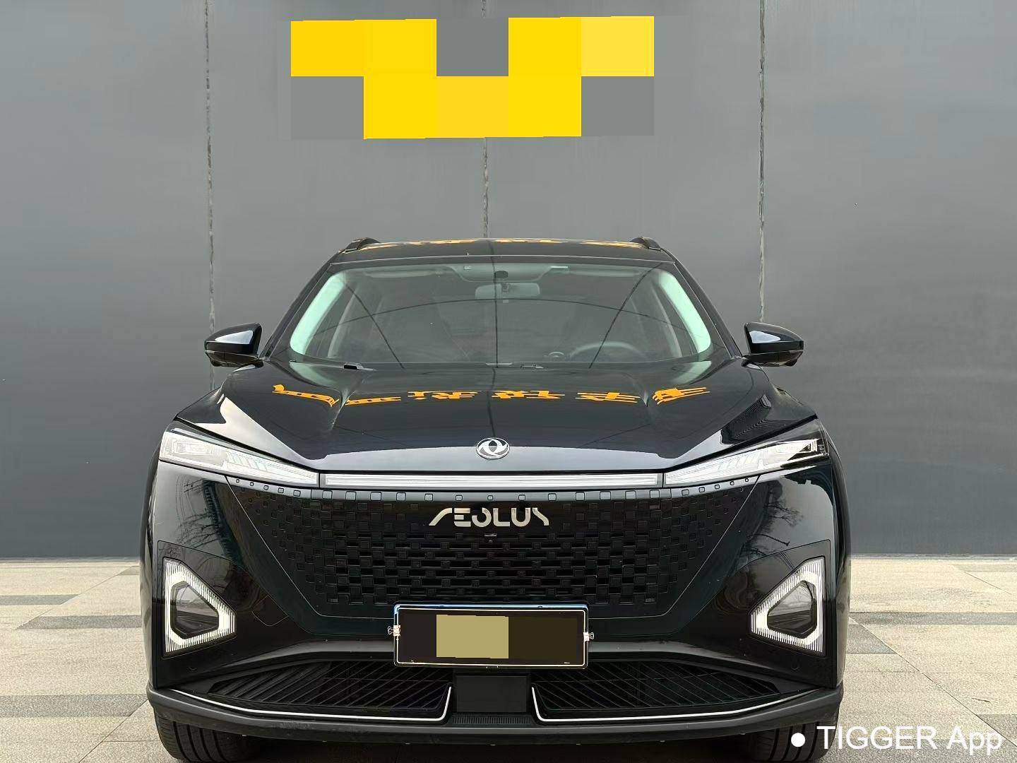 二手AEOLUS 2023 Haohan DH-i 1.5T Luxury Edition