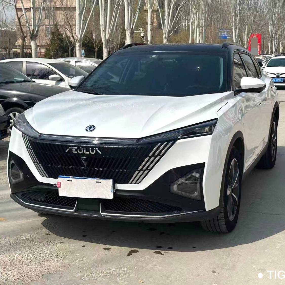 AEOLUS 2024 Haohan Honor DH-i 1.5T Luxury Edition 二手车