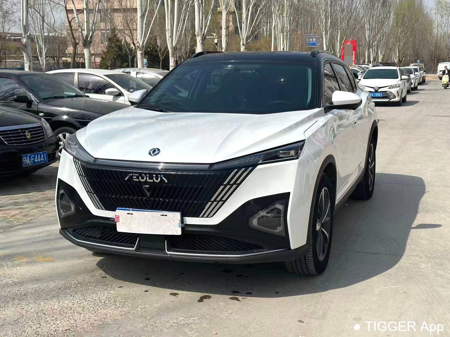 二手AEOLUS 2024 Haohan Honor DH-i 1.5T Luxury Edition