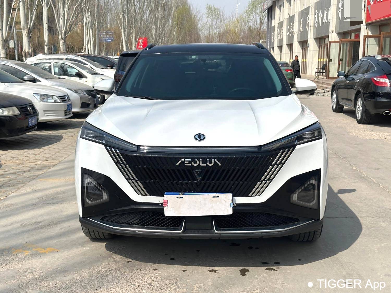 二手AEOLUS 2024 Haohan Honor DH-i 1.5T Luxury Edition