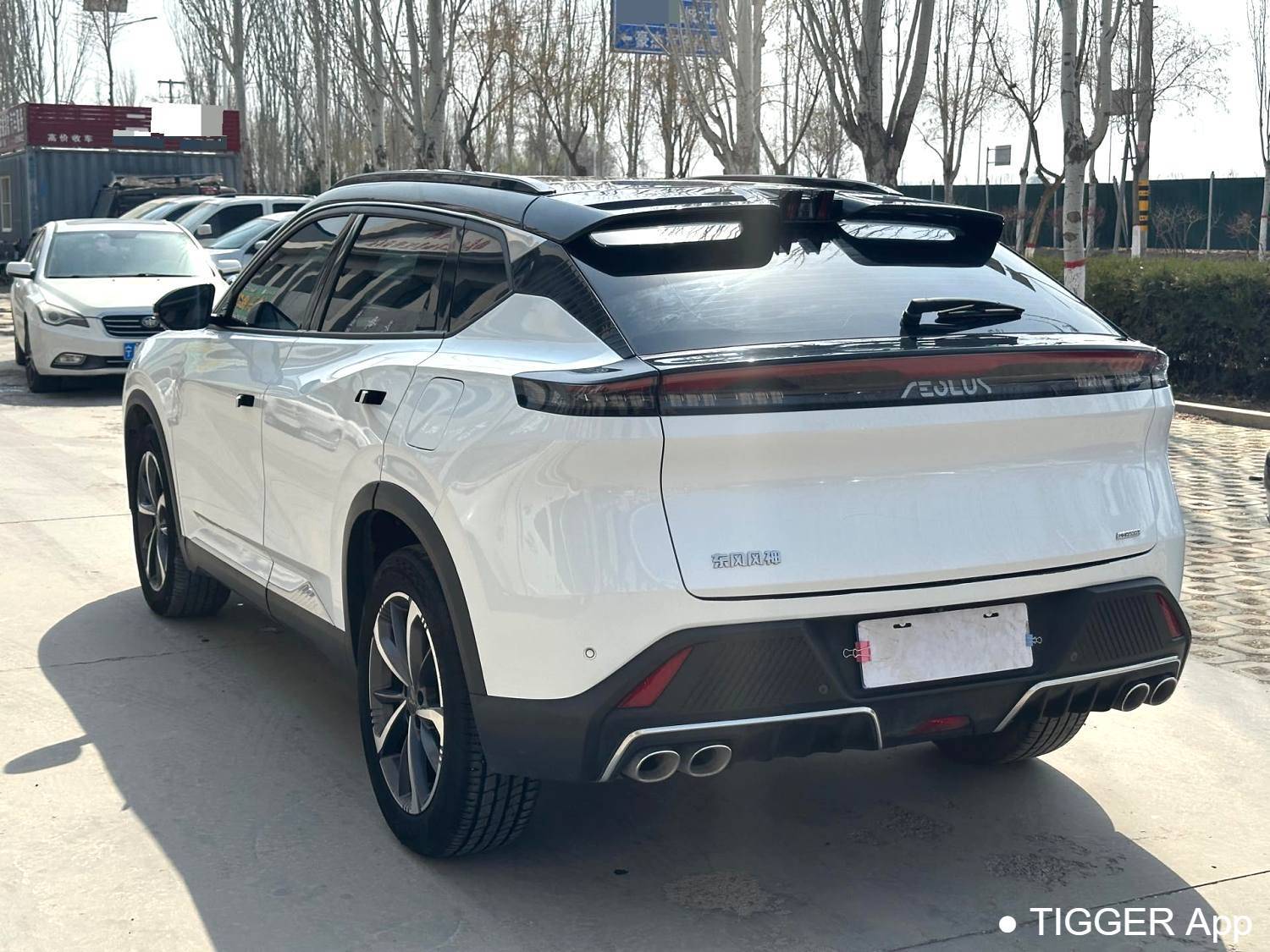 二手AEOLUS 2024 Haohan Honor DH-i 1.5T Luxury Edition